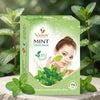 Vedsun Mint (Pudina) Face Pack  for Oil Control Acne Care & Freshness