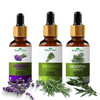 Nature Glow Lavender + Rosemary + Eucalyptus Essential Oil Pack of 3 (45ml)