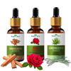 Nature Glow Sandalwood + Rose + Lemongrass Essential Oil Pack of 3 (45ml)