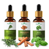 Nature Glow Rosemary + Sandalwood + Basil Essential Oil Pack of 3 (45ml)