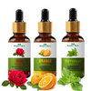 Nature Glow Rose + Orange + Peppermint Essential Oil Pack of 3 (45ml)