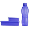 Signoraware Little Champ Kids Plastic Lunch Box