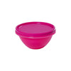 Signoraware Wonder Bowl Plastic Container No.2 800ml - PINK