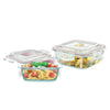 Signoraware Safe N Store Tempered Glass Container Set (520ml + 320ml)
