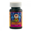 Guru Prasadam Jeeracid Tablets - 60