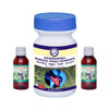 Kamdhenu Laboratories Knee Pain Relief Kit