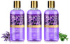 Vaadiherbal Heavenly Lavender & Rosemarry Shower Gel - Pack of 3
