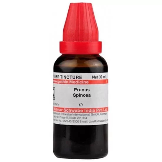 Dr. Willmar Schwabe India Prunus Spinosa Mother Tincture