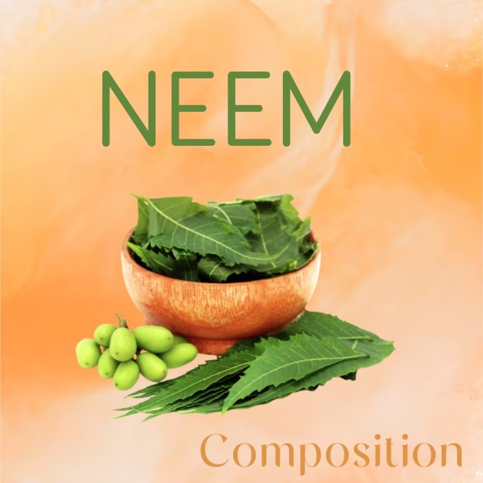 Adven Folli Therapy Anti Dandruff Shampoo