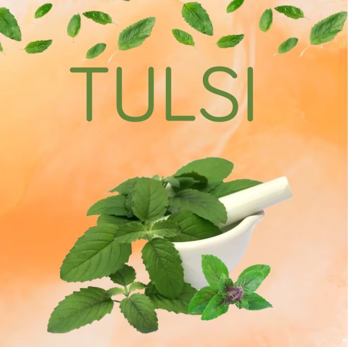 Adven Folli Therapy Anti Dandruff Shampoo