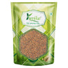 Yuvika Taramira Seeds - Tarameera Seeds - Tara Mira Seeds - Brassica eruca