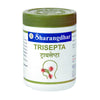 Trisepta Sharangdhar Ayurveda - Ayurvedic medicine ear, nose & throat problems